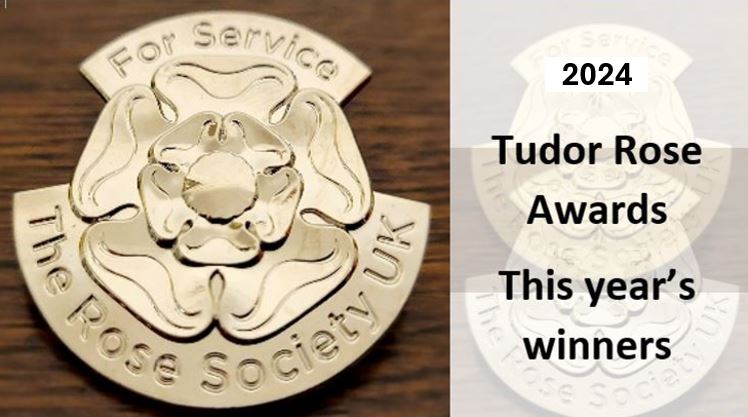 TUDOR ROSE 2024